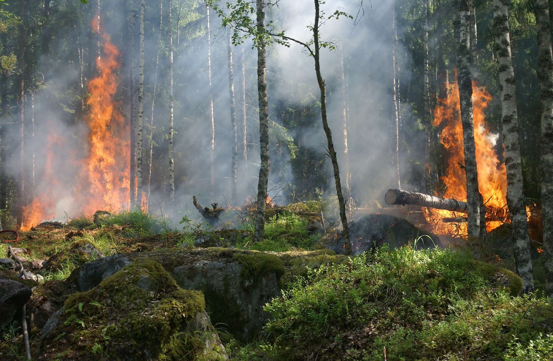 Medidas frente a Incendios Forestales